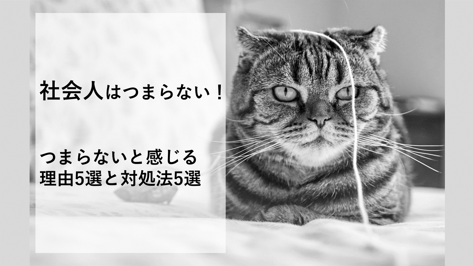 社会人がつまらないと感じる理由5選と対処法5選を解説！